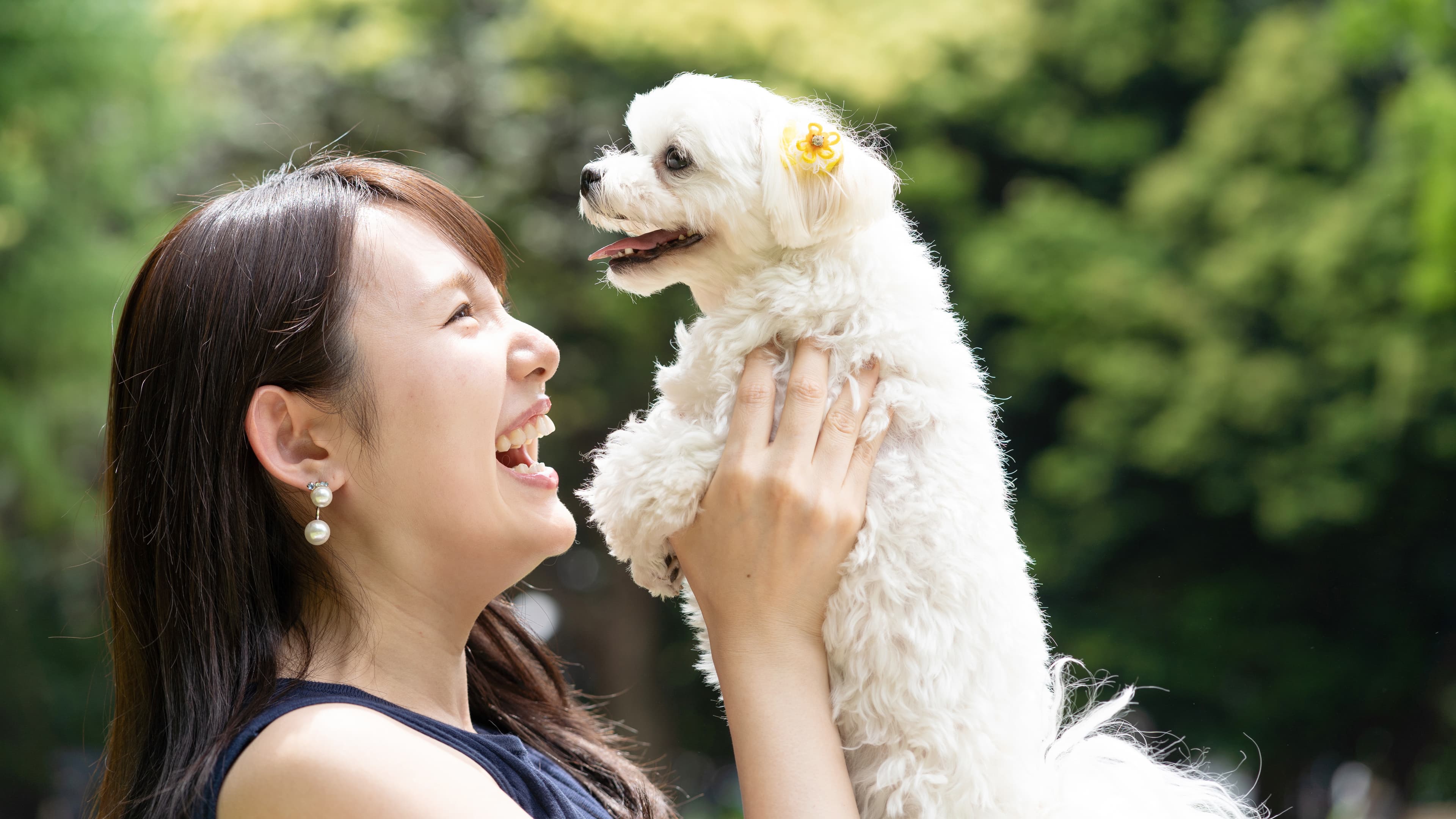 犬と向き合う女性