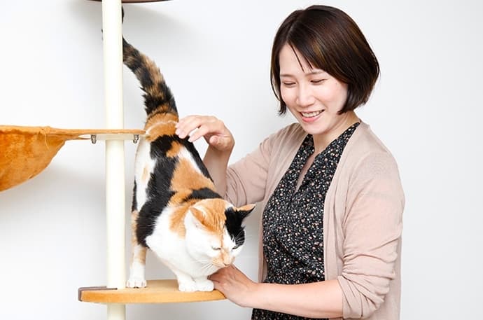 マネジメント